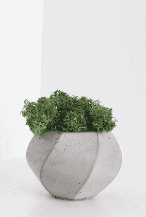 nikolai-chernichenko-oyr64kMIz98-unsplash 1 Button Fern